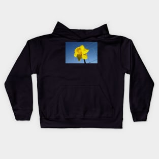 Daffy On The Safe Side Of The Fence Kids Hoodie